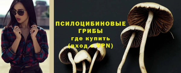 spice Лабытнанги