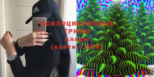 apvp Ладушкин