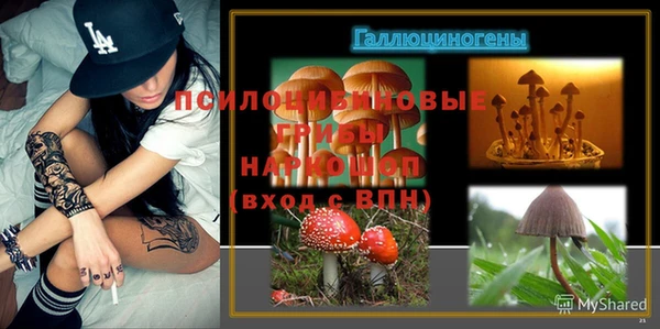 spice Лабытнанги